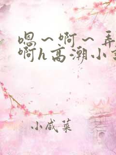 嗯～啊～弄嗯～啊h高潮小说