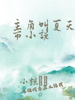 主角叫夏天的都市小说