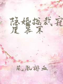 隐婚总裁宠妻无度 慕寒