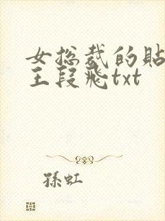 女总裁的贴身兵王段飞txt