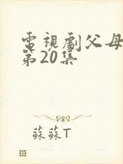 电视剧父母爱情第20集
