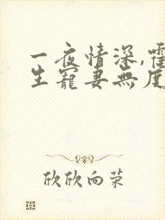一夜情深,霍先生宠妻无度丨