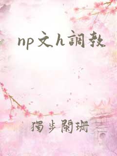 np文h调教