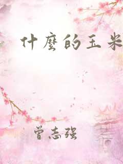 什么的玉米地