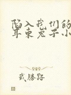 陷入我们的热恋耳东兔子小说正版