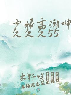 少妇高潮呻吟久久久久55