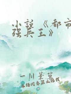 小说 《都市最强兵王》