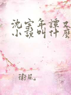 沈宗年谭又明的小说叫什么