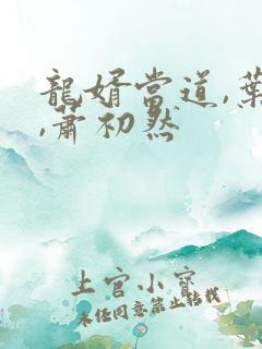 龙婿当道,叶辰,萧初然