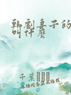 韩剧妻子的谎言叫什么