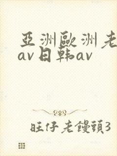 亚洲欧洲老熟妇av日韩av