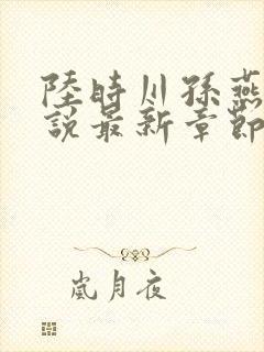 陆时川孙燕燕小说最新章节阅读免费
