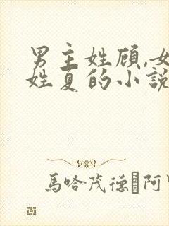 男主姓顾,女主姓夏的小说