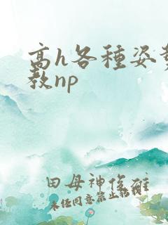 高h各种姿势调教np