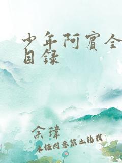 少年阿宾全章节目录