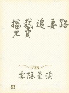 总裁追妻路漫漫免费