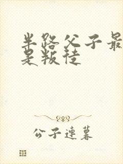 半路父子最后谁是叛徒