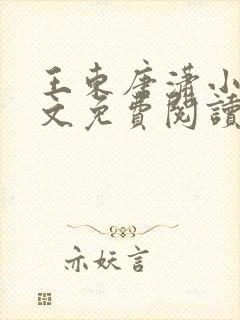 王东唐潇小说全文免费阅读