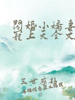 闪婚小娇妻大叔宠上天全文免费阅读无弹窗