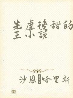 先虐后甜的双男主小说