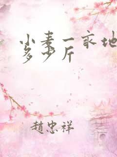 小麦一亩地能产多少斤