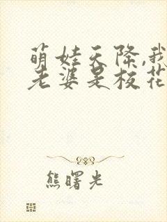 萌娃天降,我的老婆是校花短剧资源