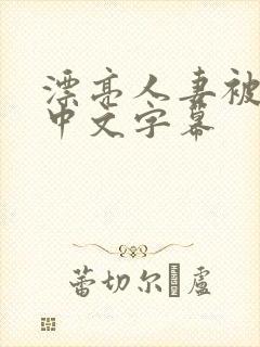 漂亮人妻被侵犯中文字幕