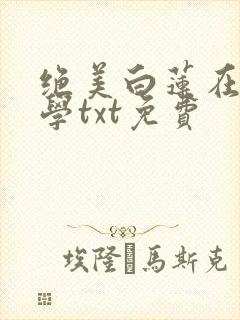 绝美白莲在线教学txt免费