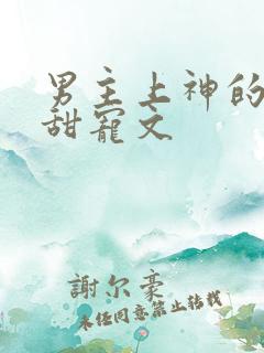 男主上神的仙侠甜宠文