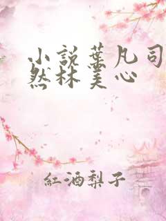 小说叶凡司空嫣然林美心