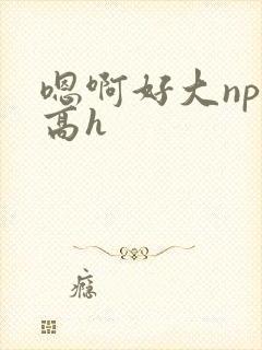 嗯啊好大nph高h