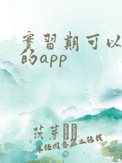 实习期可以租车的app