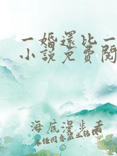 一婚还比一婚高小说免费阅读
