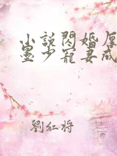 小说闪婚厚爱:墨少宠妻成瘾
