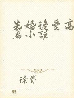 先婚后爱高干中篇小说