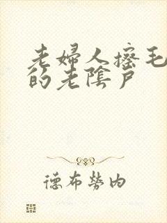 老妇人擦毛茸茸的老阴户