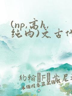(np,高h,纯肉)文古代