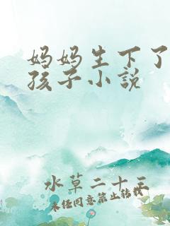 妈妈生下了我的孩子小说