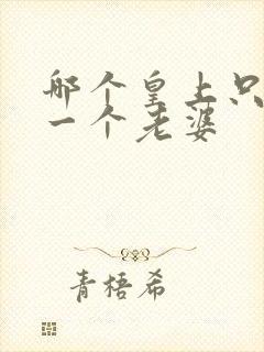 哪个皇上只娶了一个老婆