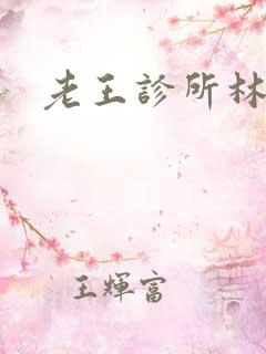 老王诊所林婉茹