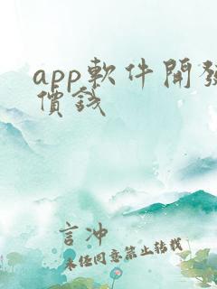 app软件开发价钱