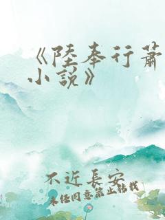 《陆奉行萧念窈小说》