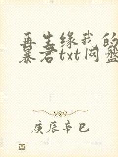 再生缘我的温柔暴君txt网盘