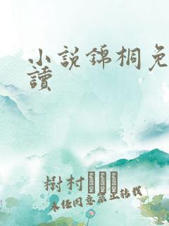 小说锦桐免费阅读