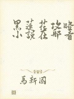 黑莲花攻略手册小说在哪看
