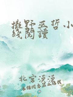 撒野巫哲小说在线阅读
