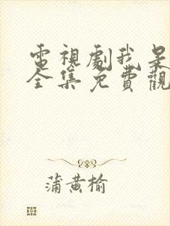 电视剧我是刑警全集免费观看
