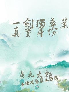 一剑独尊叶灵的真实身份