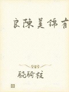 良陈美锦有声