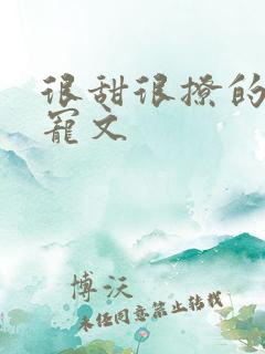 很甜很撩的校园宠文
